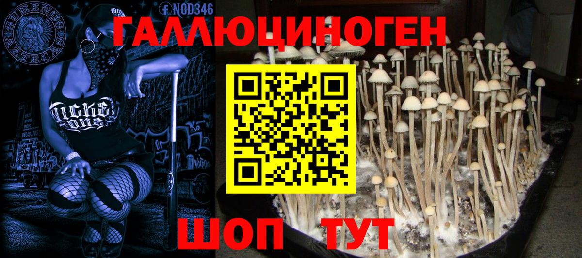 Псилоцибиновые грибы MAGIC MUSHROOMS Долгопрудный